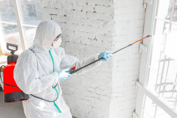  Valley Falls, SC Mold Removal & Remediation Pros