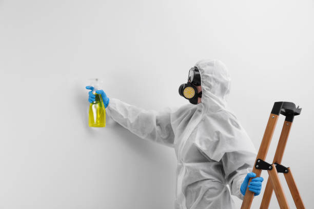 Best Biohazard Mold Removal  in Valley Falls, SC