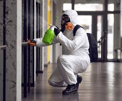 Best Emergency Mold Remediation  in Valley Falls, SC